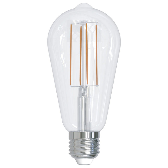 Bulbrite 776857 Filaments: Light Bulb Clear Main Image.jpg