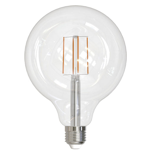 Bulbrite 776879 Filaments: Light Bulb Clear Main Image.jpg