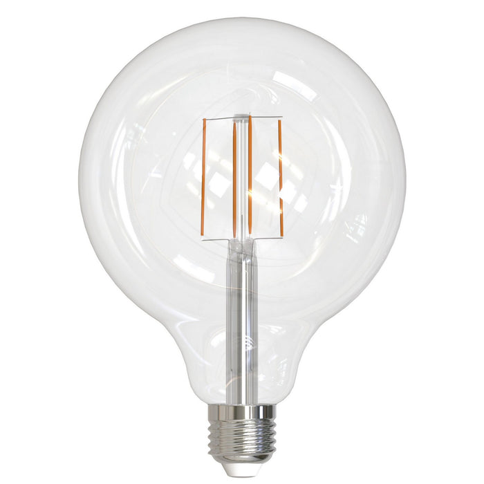 Bulbrite 776879 Filaments: Light Bulb Clear Main Image.jpg