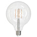 Bulbrite 776879 Filaments: Light Bulb Clear Main Image.jpg