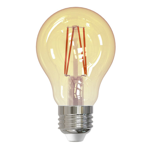 Bulbrite 776902 Filaments: Light Bulb Antique Main Image.jpg