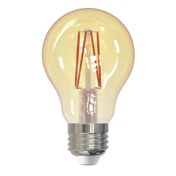 Bulbrite 776902 Filaments: Light Bulb Antique Main Image.jpg