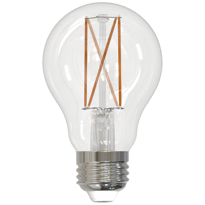 Bulbrite 776914 Light Bulb Clear Main Image.jpg