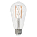 Bulbrite 776935 Light Bulb Clear Main Image.jpg