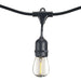 Bulbrite 812313 String String Light Black Main Image.jpg
