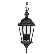 Capital Lighting 9724BK Carriage House Three Light Outdoor Hanging Lantern, Black Main Image.jpg