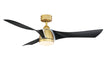 Fanimation FPD6858BSBL Klear 56" Ceiling Fan Brushed Satin Brass Main Image.jpg