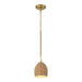 Crystorama JAC-10502-SG Jace LED Mini Pendant Soft Gold Main Image.jpg