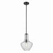 Kichler 42141BKCS One Light Pendant, Black