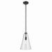 Kichler 42199BK One Light Pendant, Black