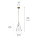 Kichler 42199NBRCS One Light Pendant, Natural Brass (3)