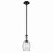 Kichler 42456BKCS One Light Pendant, Black