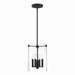 Millennium 55301-MB Vissi Four Light Pendant, Matte Black Main Image.jpg