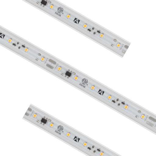 American Lighting 12VAC-H3-27 Reel Main Image.jpg