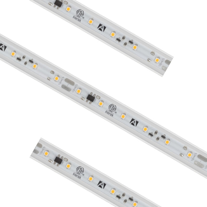 American Lighting 12VAC-H3-30 Reel Main Image.jpg