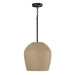 Capital Lighting 354212SN One Light Pendant, Terracotta Sand