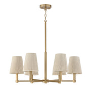 Capital Lighting 454561MA Six Light Chandelier, Matte Brass