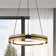Thesis 206937A LED Pendant, Matte Black/Brushed Gold (2)