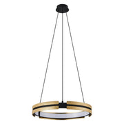 Thesis 206937A LED Pendant, Matte Black/Brushed Gold