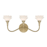 Savoy House 8-5081-3-127 Three Light Bathroom Vanity, Noble Brass