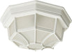 Maxim 1020WT Crown Hill Two Light Outdoor Ceiling Mount, White Main Image.jpg