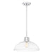 Quoizel QP5360C Iona One Light Pendant, Polished Chrome Alternate Image.jpg