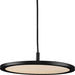 Progress P500366-31M-30 Everlume LED Collection  Modern Matte Black Pendant Alternate Image.jpg