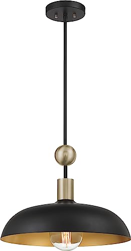 Minka-Lavery 1995-862 Biloxi One Light Pendant, Coal And Antique Brass Alternate Image.jpg