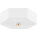 Mitzi H462502-AGB/PN Lizzie Two Light Flush Mount, Aged Brass/Polished Nickel Combo Alternate Image.jpg