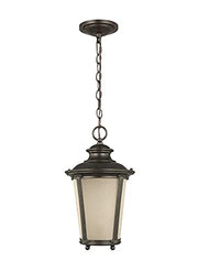 Generation Lighting 62240EN3-780 Cape May One Light Outdoor Pendant, Burled Iron Alternate Image.jpg