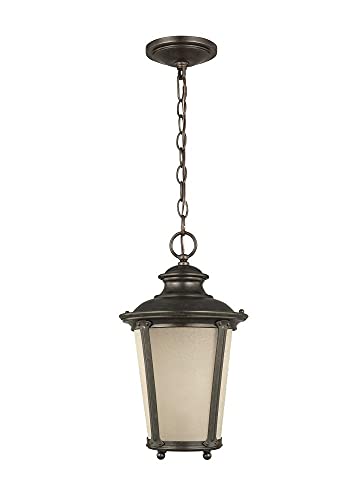 Generation Lighting 62240EN3-780 Cape May One Light Outdoor Pendant, Burled Iron Alternate Image.jpg