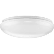Progress P810026-030-30 Linear LED Cloud One-Light 14" Flush Mount Alternate Image.jpg