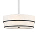 Minka-Lavery 2445-66A Cascade Four Light Pendant, Coal Main Image.jpg