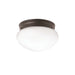 Kichler 206OZ Ceiling Space One Light Flush Mount, Olde Bronze Main Image.jpg