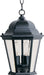 Maxim 1009BK Westlake Three Light Outdoor Hanging Lantern, Black Main Image.jpg