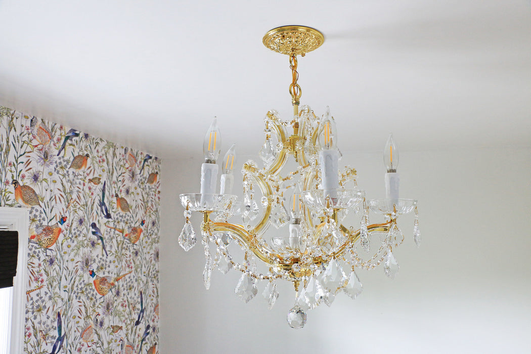 Alternate Image 6.jpg