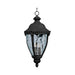 Maxim 40291WGET Morrow Bay VX Three Light Outdoor Hanging Lantern, Earth Tone Main Image.jpg