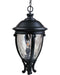 Maxim 41429WGBK Camden VX Three Light Outdoor Hanging Lantern, Black Main Image.jpg