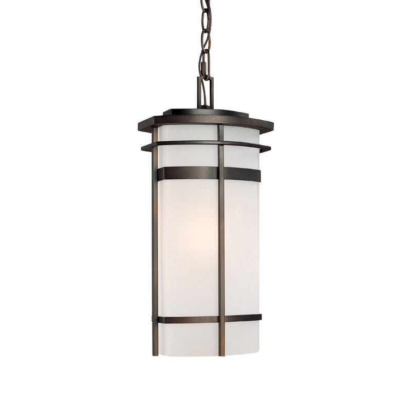 Capital Lighting 9885OB Lakeshore One Light Outdoor Hanging Lantern, Old Bronze Main Image.jpg