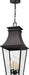 Minka-Lavery 7998-66 Gloucester Four Light Outdoor Chain Hung, Sand Coal Alternate Image.jpg