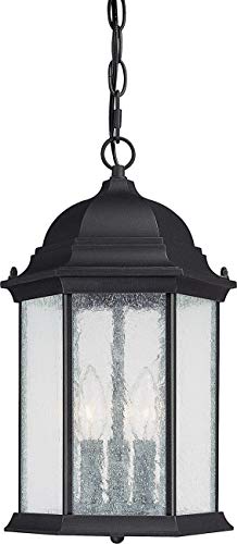 Capital Lighting 9836BK Main Street Three Light Outdoor Hanging Lantern, Black Alternate Image.jpg