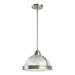 Generation Lighting 65061-962 Pratt Street Prismatic Two Light Pendant, Brushed Nickel Alternate Image.jpg