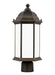 Generation Lighting 8238651EN3-71 Sevier One Light Outdoor Post Lantern, Antique Bronze Alternate Image.jpg