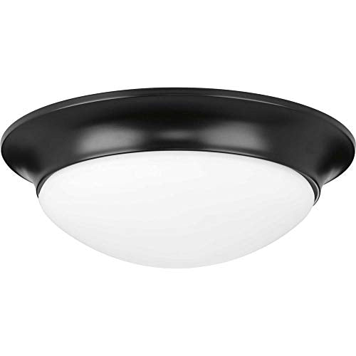 Progress P350147-031 Two-Light 14" Etched Glass Flush Mount Alternate Image.jpg