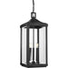 Progress P550004-031 Gibbes Street Collection Three-Light Hanging Lantern Alternate Image.jpg