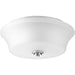 Progress P3633-15 Cascadia Collection Two-Light 14" Flush Mount Alternate Image.jpg