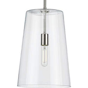 Progress P500242-104 Clarion Collection One-Light Polished Nickel Clear Glass Coastal Pendant Light Alternate Image.jpg