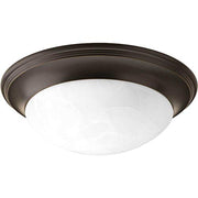 Progress P3689-20 Two-Light Alabaster Glass 14" Close-to-Ceiling Alternate Image.jpg