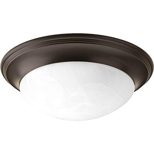 Progress P3689-20 Two-Light Alabaster Glass 14" Close-to-Ceiling Alternate Image.jpg