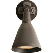 Progress P5202-20 One-Light Adjustable Swivel Flood Light Alternate Image.jpg